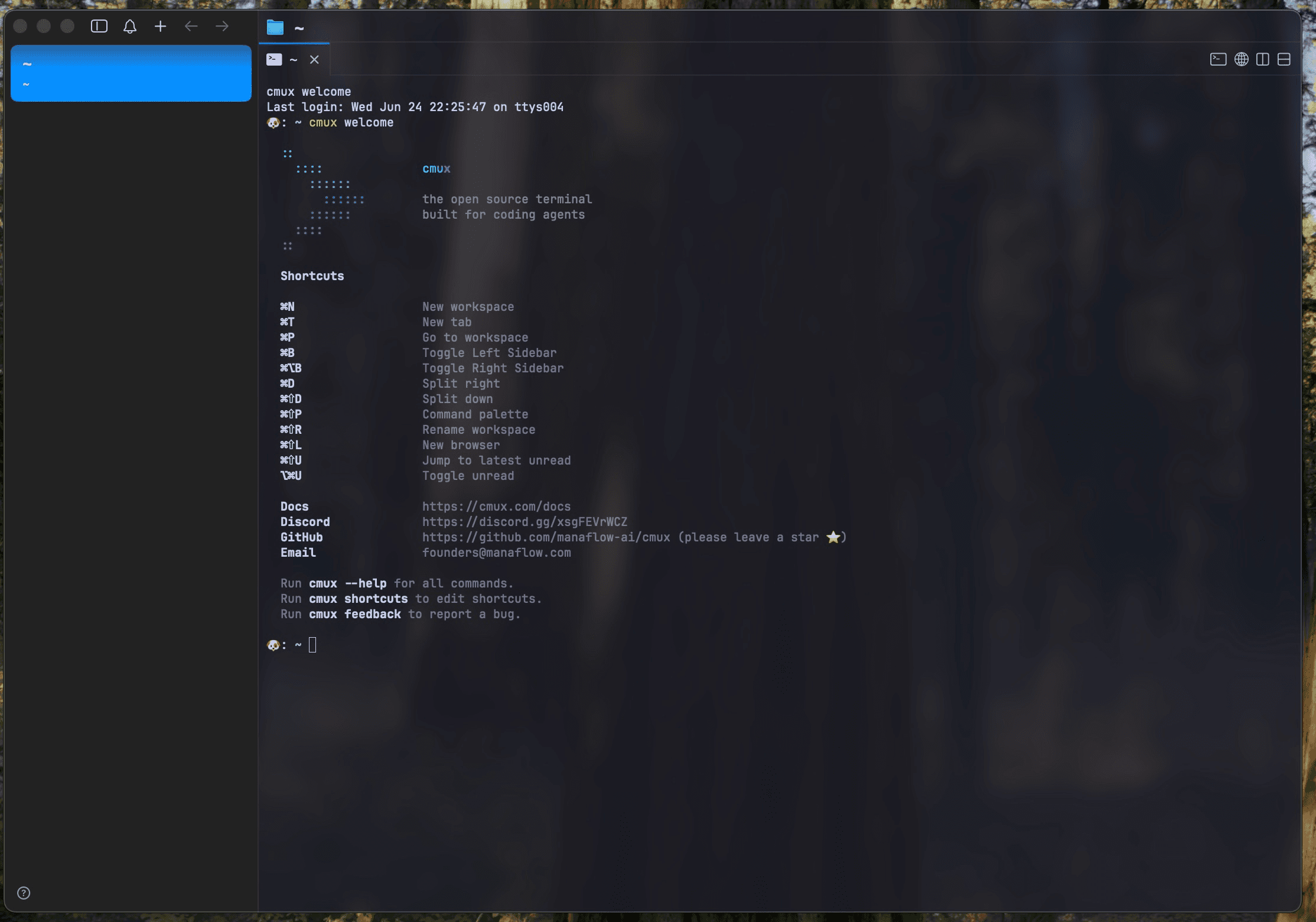 cmux_1